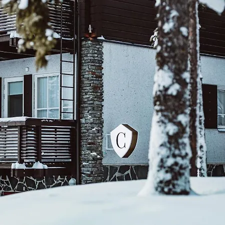 Levin Alppitalot Alpine Chalets Экстерьер фото
